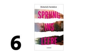 Cover des Buches Heinrich Steinfest: Sprung ins Leere