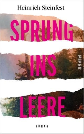 Cover des Buches Heinrich Steinfest: Sprung ins Leere