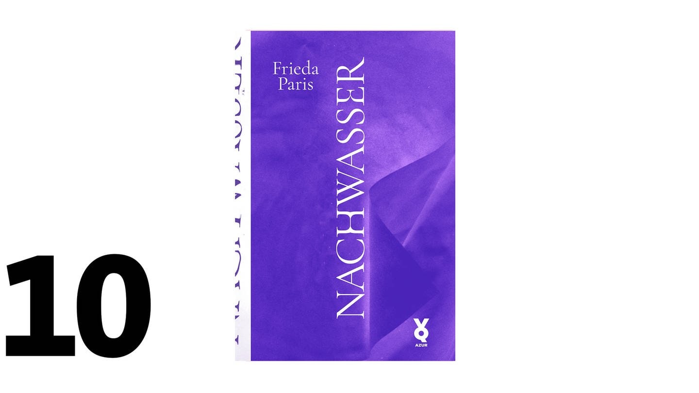 Cover des Buches Frieda Paris: Nachwasser
