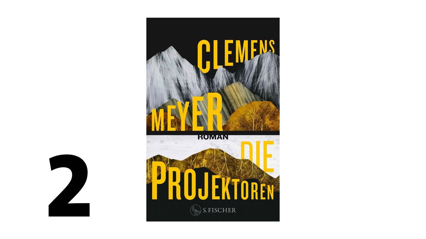 Cover des Buches Clemens Meyer: Die Projektoren