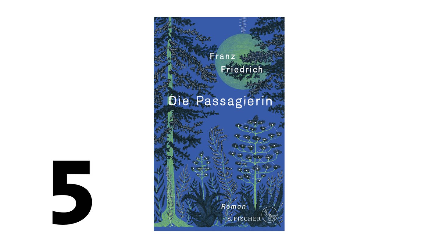 Cover des Buches Friedrich Franz: Die Passagierin