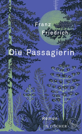 Cover des Buches Friedrich Franz: Die Passagierin