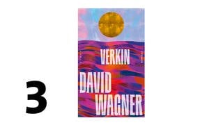 Cover des Buches David Wagner: Verkin