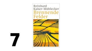 Cover des Buches Reinhard Kaiser-Mühlecker: Brennende Felder