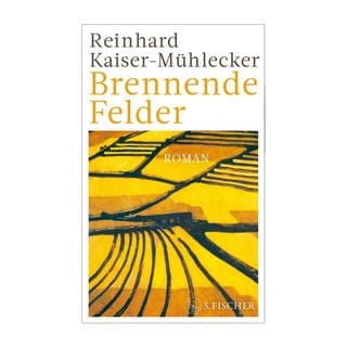 Cover des Buches Reinhard Kaiser-Mühlecker: Brennende Felder