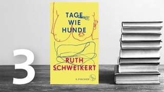 Ruth Schweikert: Tage wie Hunde