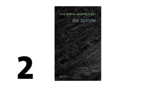 Cover des Buches Eva-Maria Leuenberger: die spinne