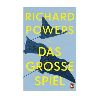 Cover des Buches Richard Powers: Das große Spiel