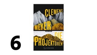 Cover des Buches Clemens Meyer: Die Projektoren