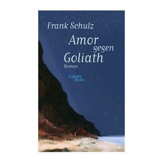 Cover des Buches Frank Schulz: Amor gegen Goliath