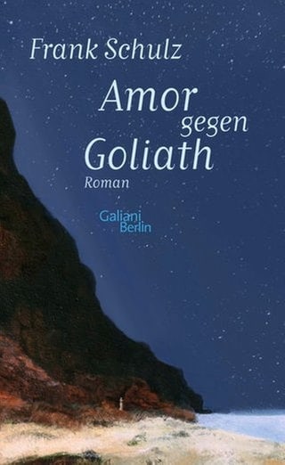 Cover des Buches Frank Schulz: Amor gegen Goliath