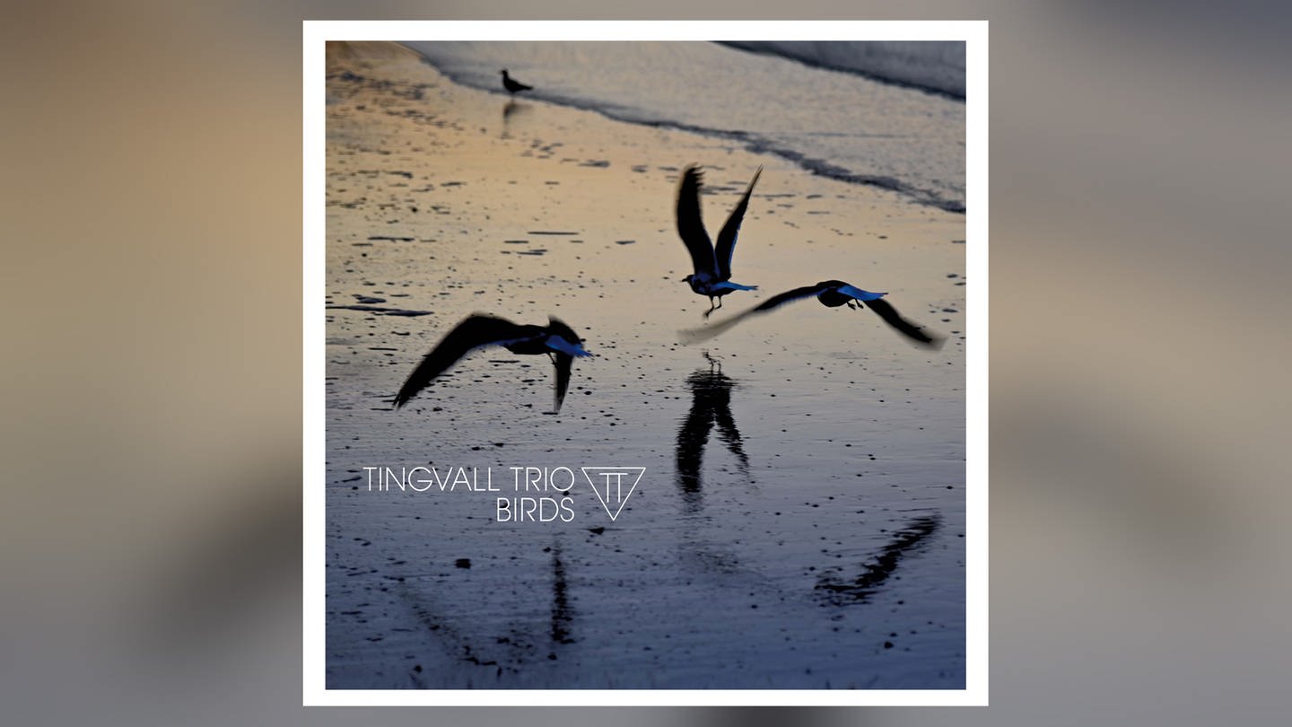 Tingvall Trio: Birds. Label: Skip Records