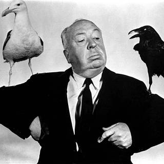 Regisseur Alfred Hitchcock während eines Fotoshootings zum Film "Birds" ("Die Vögel")