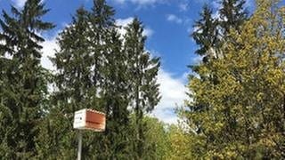 Lautsprecher im Schwarzwald