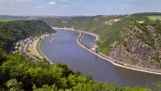 Blick auf die Lorelei