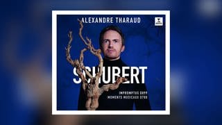 Neues Schubert-Album von Alexandre Tharaud