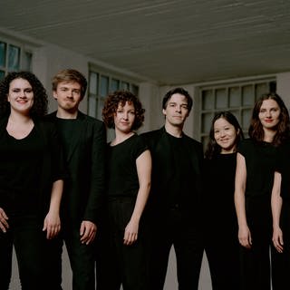 franz ensemble