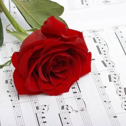Eine rote Rose liegt auf einem Notenblatt