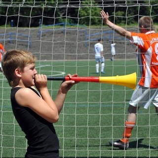 Elfjähriger bläst in Vuvuzela in Deutschlandfarben. Hinter ihm findet ein Fußballspiel statt, ein Torwart in rotem Trikot verteidigt sein Tor.