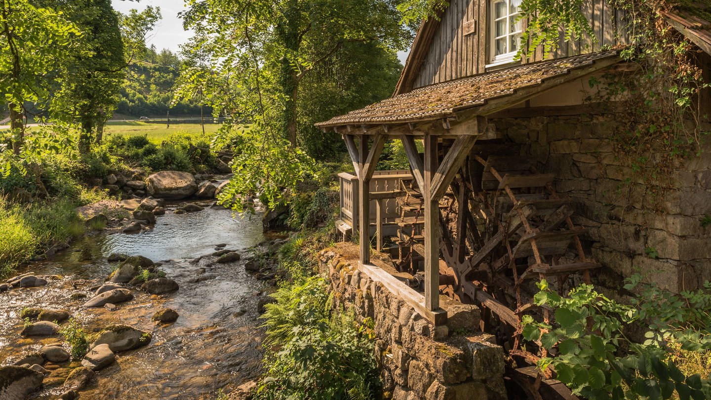 Historische Wassermühle im Schwarzwald, Ottenhöfen: Außenansicht mit Mühlrad am Bach. Im Hintergund Wald