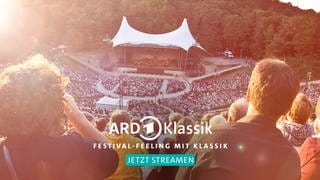 Publikum schaut hinunter zur Berliner Waldbühne