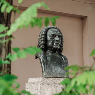 Büste von Johann Sebastian Bach mit lockenperücke in Weimar. Die Büste steht auf einem Sockel, daneben ein Baumstamm, dessen Geäst die Büste umrahmt.