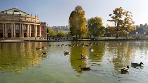 Blick auf die Oper Stuttgart vom Wolfgang-Windgassen-Weg aus