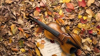 Violine und Notenblatt zwischen Herbstlaub