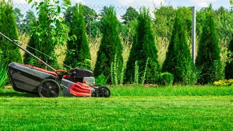 Rasenmäher in Aktion auf einer grüner Wiese vor blauem Himmel und Zaun