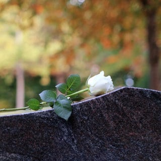 Weiße Rose auf einem Grabstein