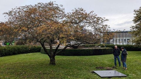 Der Künstler Robin Minard und Leiterin der Donaueschinger Musiktage Lydia Rilling stehen im Karlsgarten Donaueschingen vor der neuen Installation „Kaminoyama Soundmarks“.