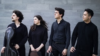 Die Musiker und Musikerin des Viatores Quartet