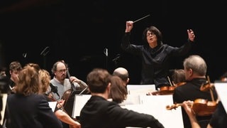 Das Paris Mozart Orchestra