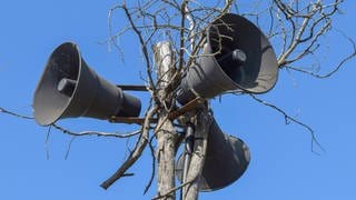 Megafone inmitten von Baumzweigen