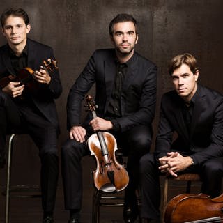 Das Modigliani Quartett (v. l. Amaury Coeytaux - Violine, Loïc Rio - Violine, Laurent Marfaing - Viola, François Kieffer - Violoncello)