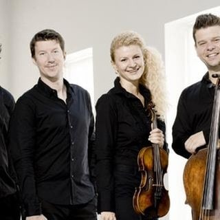 Das Pavel Haas-Quartett