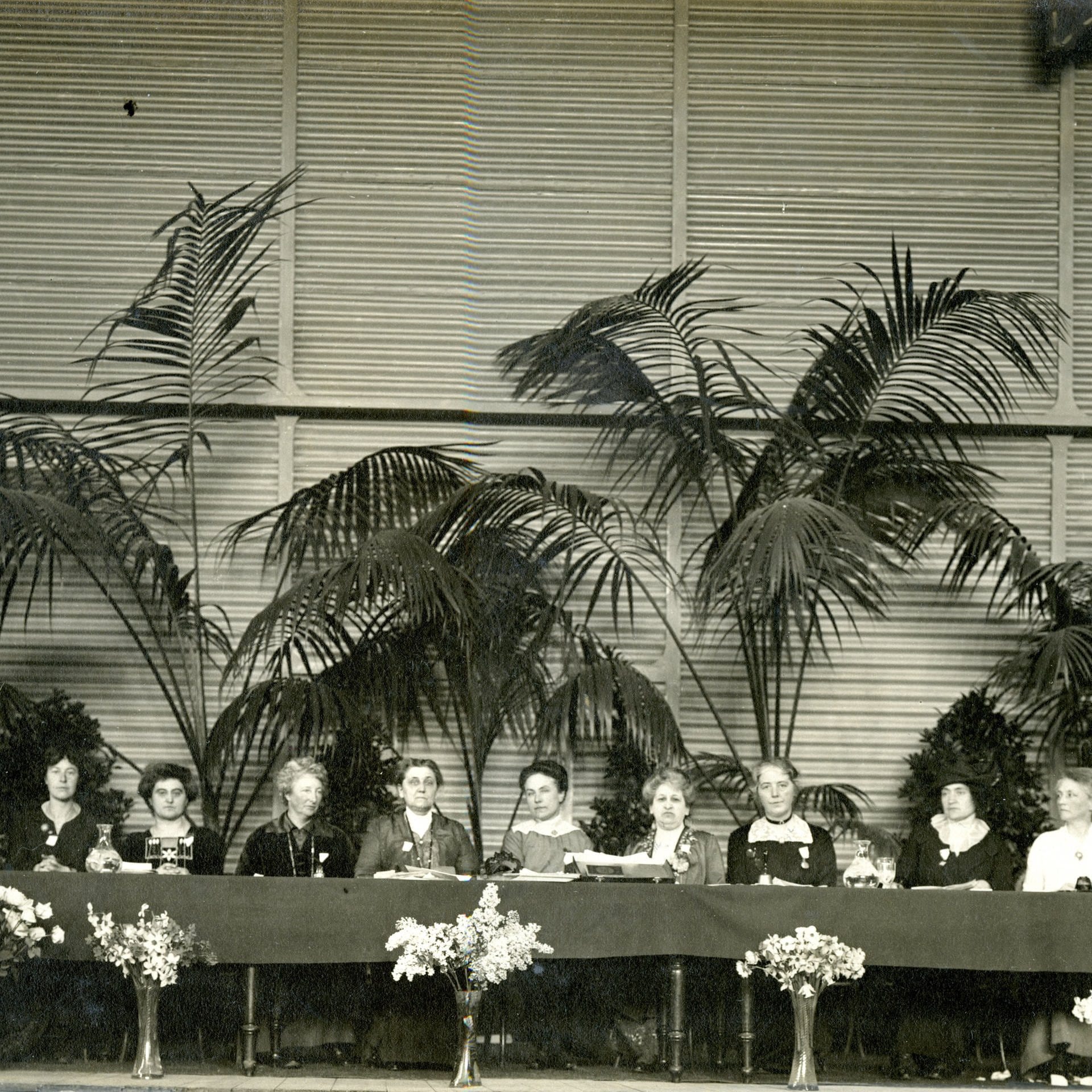 Der Internationale Frauenfriedenskongress 1915