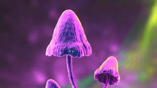 Eine Computer-Illustration von Magic Mushrooms