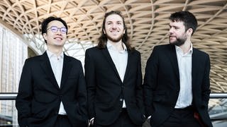 Linos Piano Trio: Konrad Elias-Trostmann (Violine), Vladimir Waltham (Cello), Prach Boondiskulchok (Klavier)