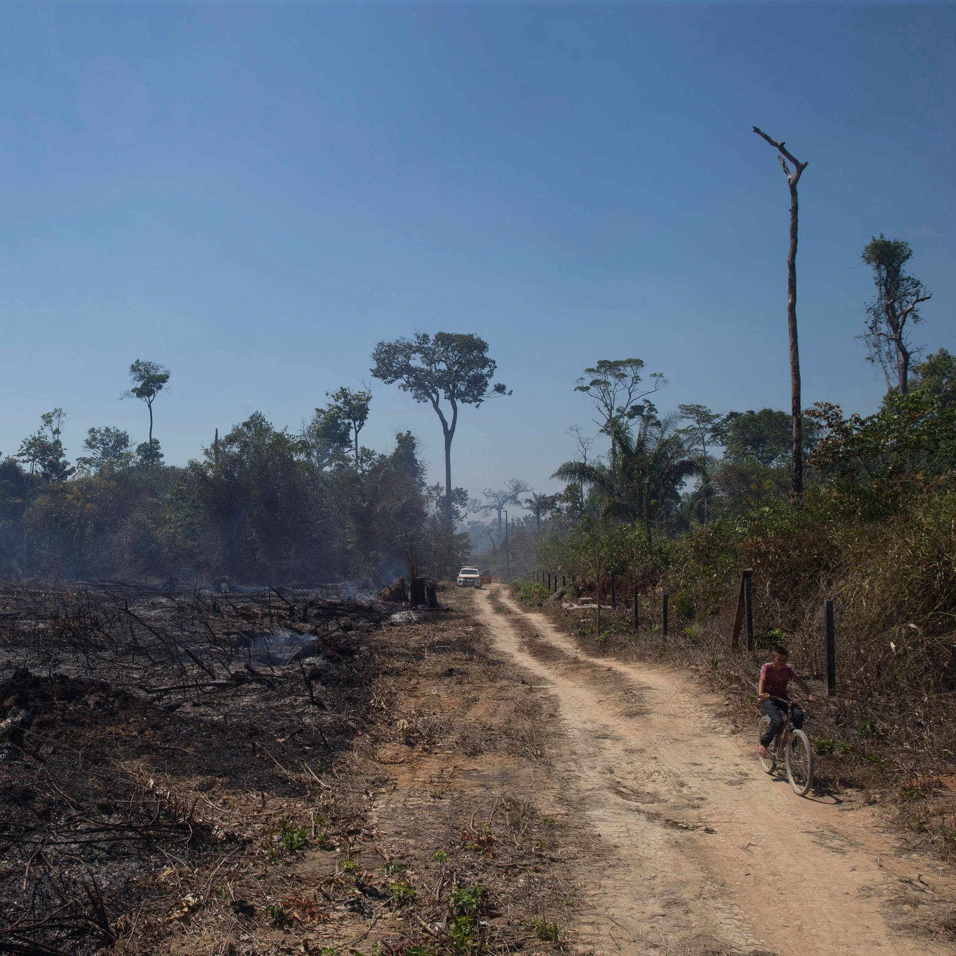 Ist der Amazonas-Urwald noch zu retten?