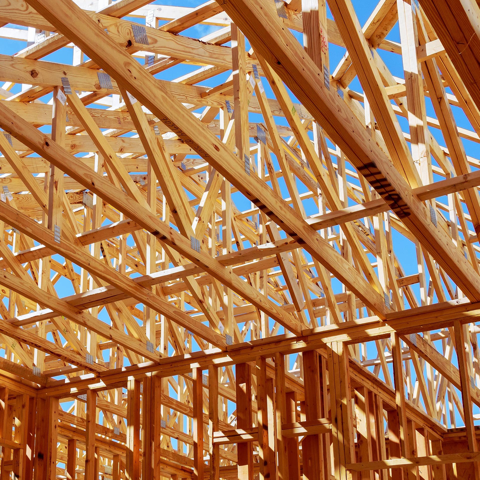 Häuser aus Holz - Ein Baustoff schützt das Klima