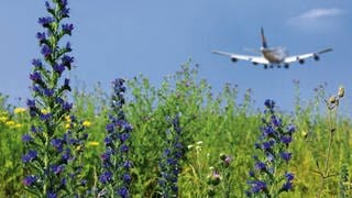 Die schlechte Öko-Bilanz des Flugverkehrs weckt bei vielen Menschen Flugscham. Forscher arbeiten an umweltfreundlicherem Kerosin, leichteren Flugzeugen und klimaverträglicheren Flugrouten.