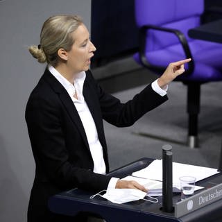 Alice Weidel provoziert und diffamiert