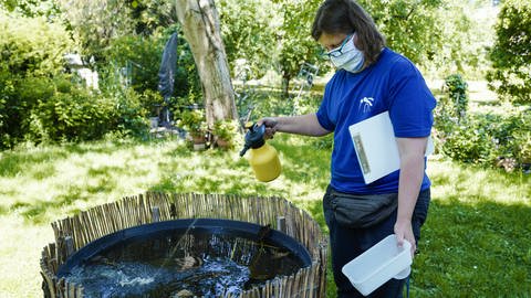 Eine Mitarbeiterin der Firma Icybac sprüht in einem Garten den Mückenbekämpfungsstoff BTI. Das Unternehmen, eine Tochter der KABS, kümmert sich um die Bekämpfung der Stech- und Tigermücke