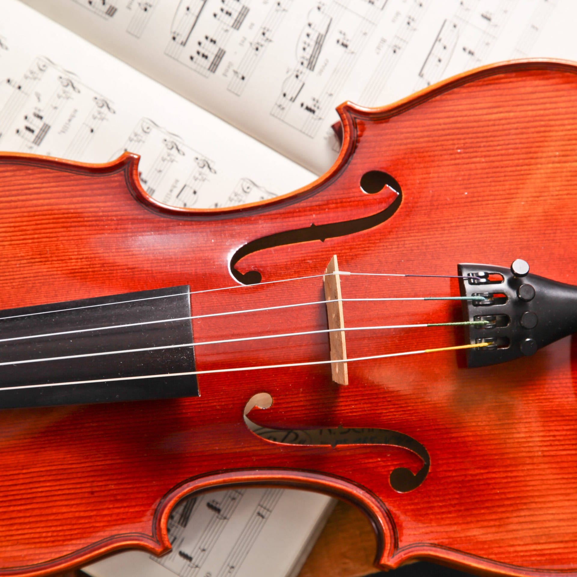 Die Violine – Das perfekte Instrument?