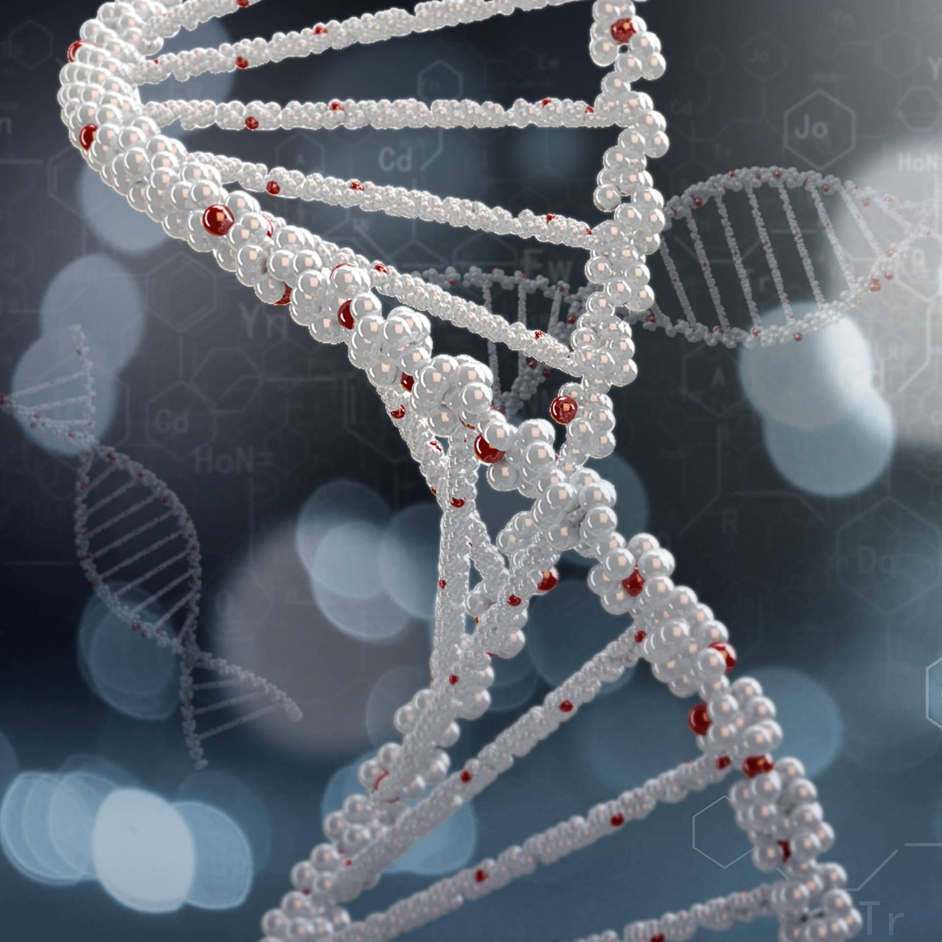 Unsere DNA – Das Prinzip des Lebens