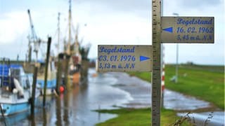 Pegelstandsanzeiger: Eine reizvolle Landschaft im Norden von Niedersachsen bildet die Gegend um Cuxhaven