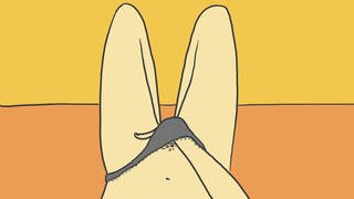Solo-Sex und Masturbation: Die Hand einer Frau greift zwischen die Beine (Grafik) – Frauen sind im Porno- und Sexartikelgeschäft verstärkt als Kundinnen in den Blick geraten. Ihnen sollen Sex-Toys und feministische Pornos selbstbestimmten Sex ermöglichen. Dazu haben Künstlerinnen die Vulva als Kunstobjekt entdeckt. 
