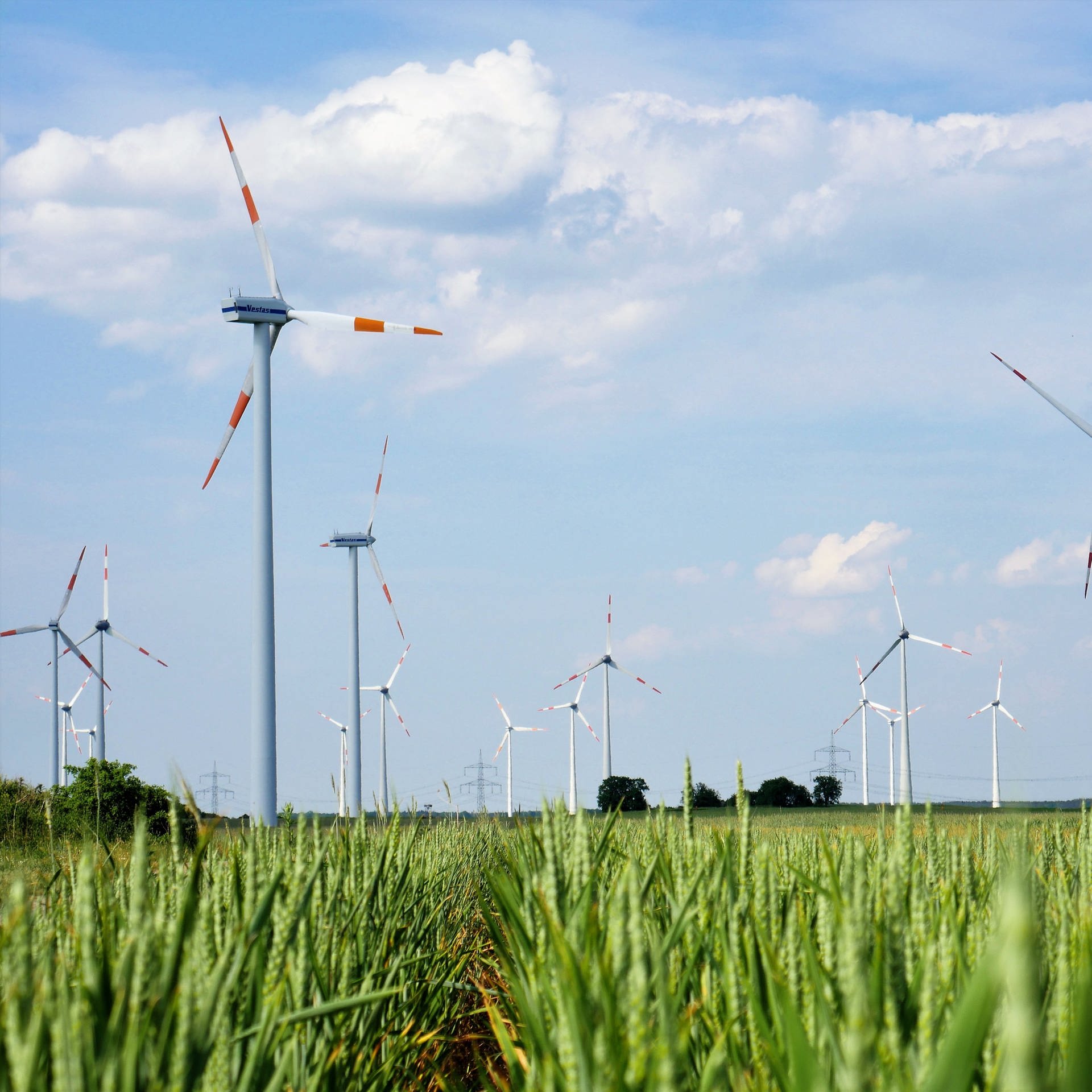 Windkraft ohne Vogelsterben – Geht das?