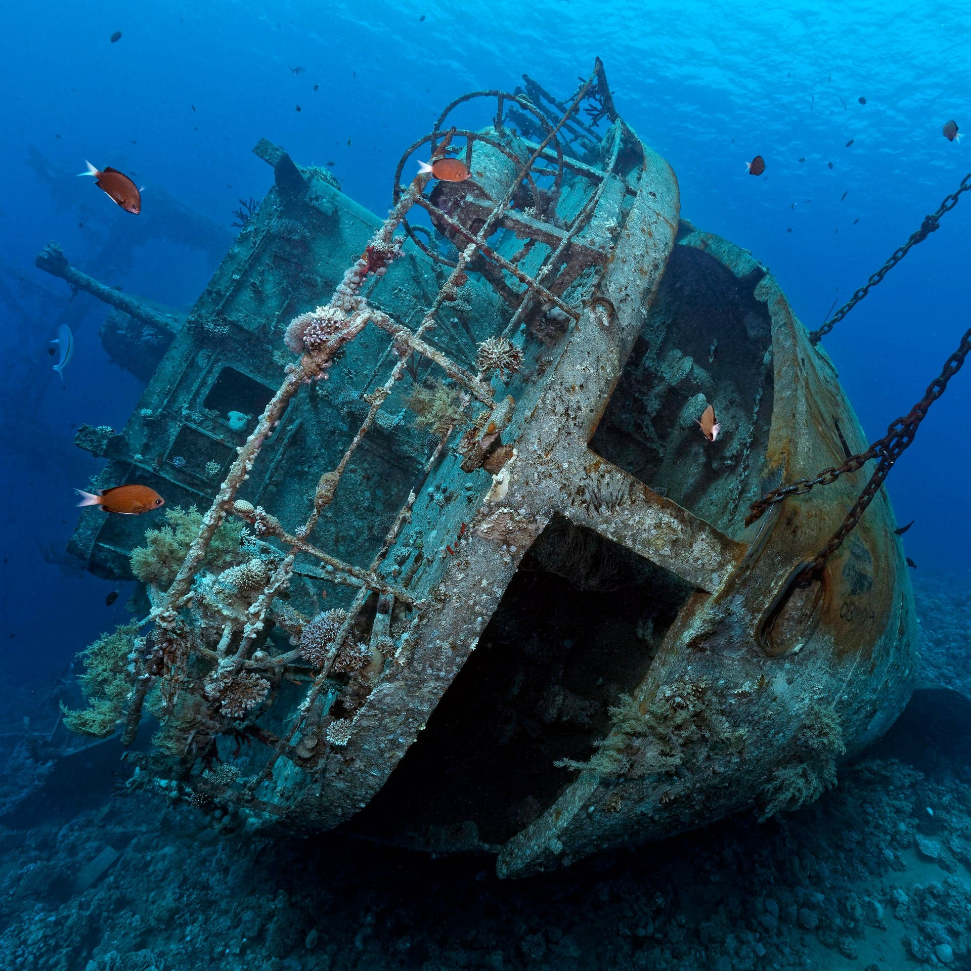 Schiffswracks am Meeresgrund – Ökosysteme mit gefährlicher Ladung